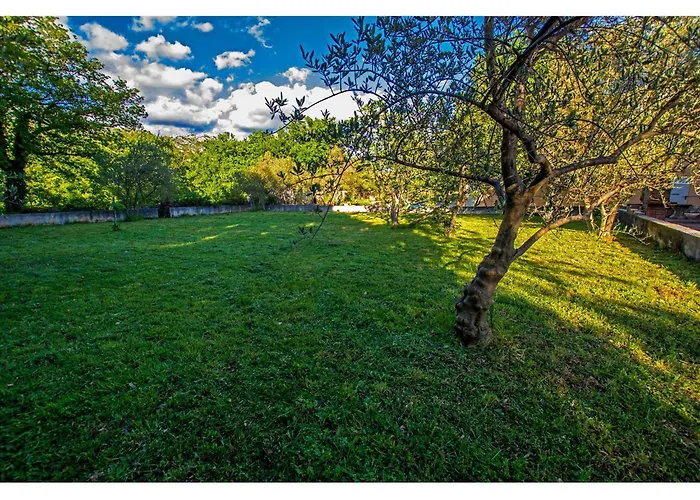 In Starigrad-paklenica 6881