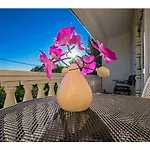 Apartman In Starigrad-paklenica 6881