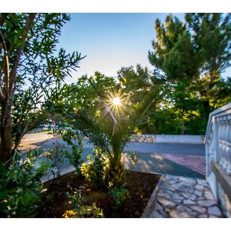 In Starigrad-paklenica 6881