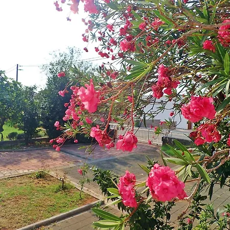 Apartamento In Starigrad-paklenica 6881