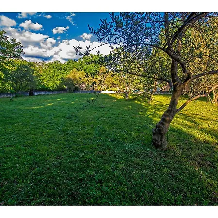 In Starigrad-paklenica 6881