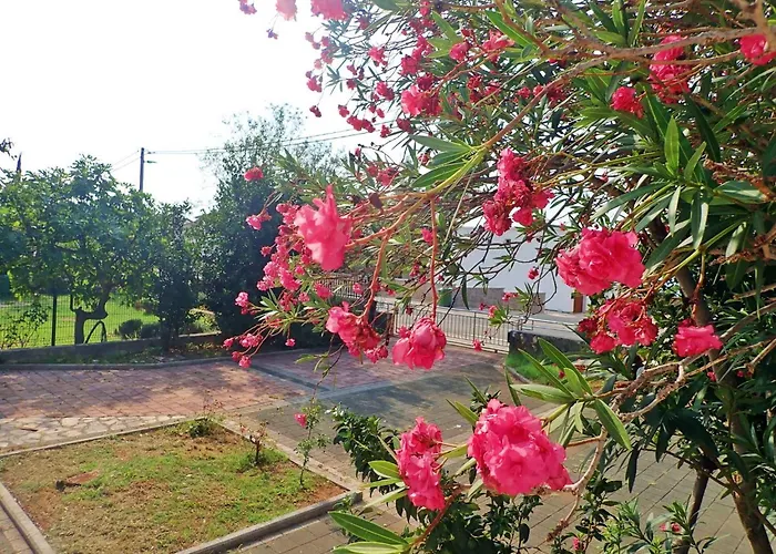 Apartamento In Starigrad-paklenica 6881